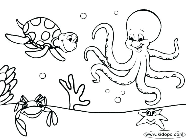 736x548 Seahorse Coloring Page Free Kids Coloring Coloring Pages Under
