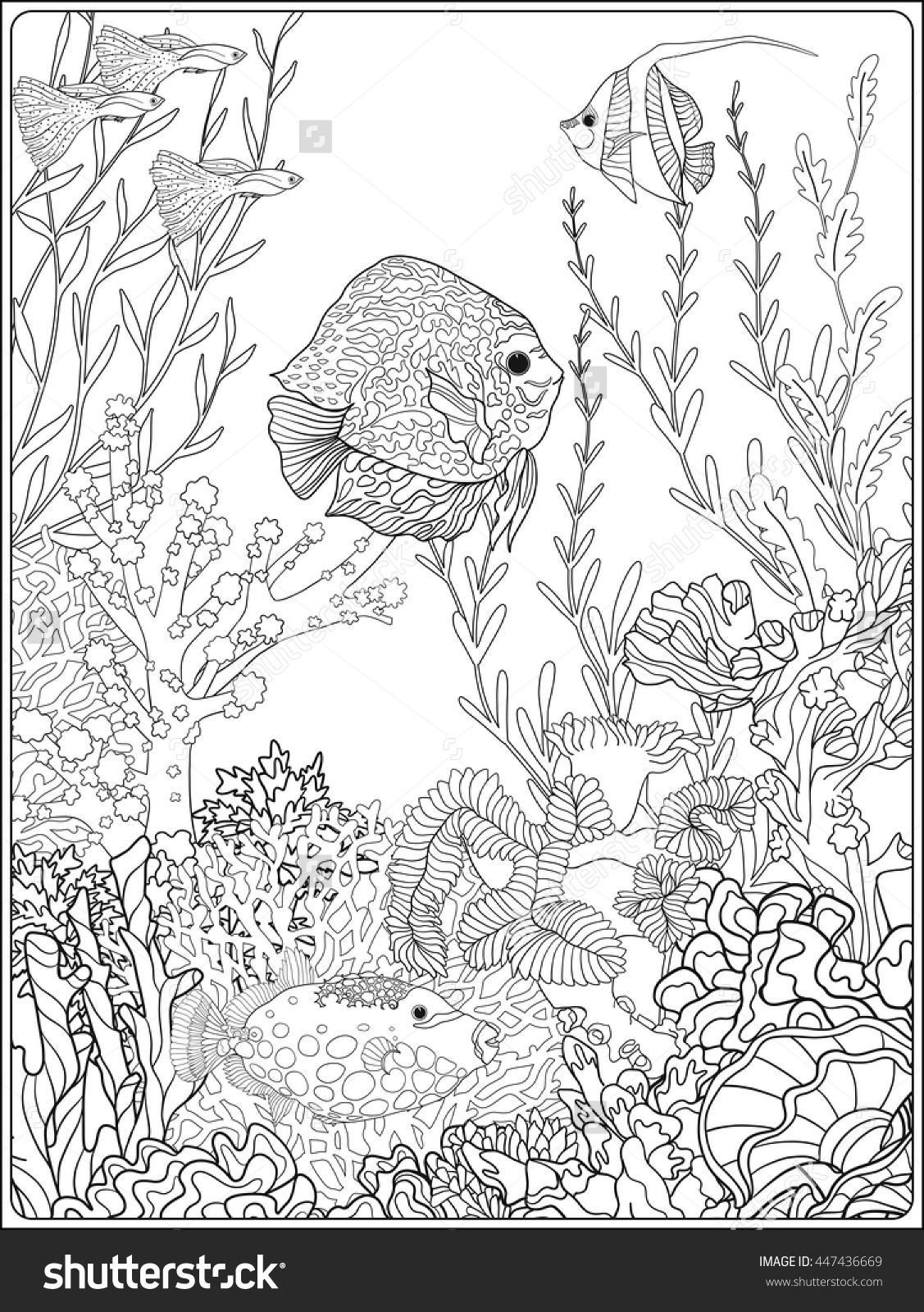 1127x1600 Unique Coloring Pages Of Coral Reefs Reef Page And Sea Plants