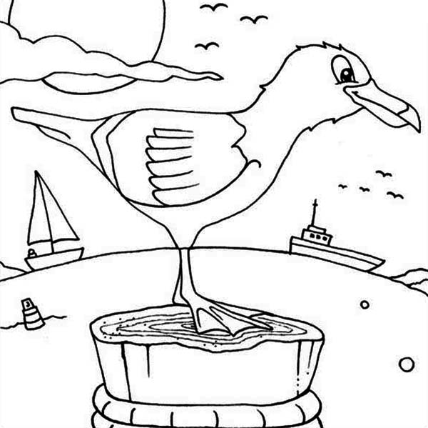 600x599 Seagull Coloring Page Free Download