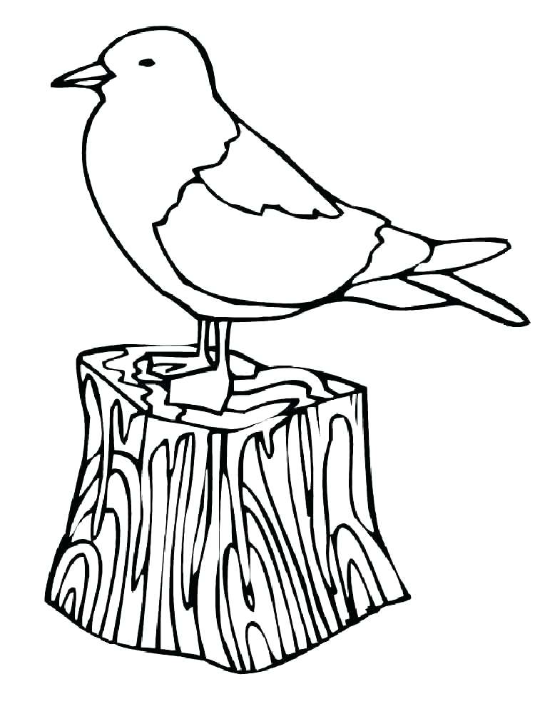 750x1000 Seagull Coloring Page Seagull Coloring Page Seagull Coloring Page
