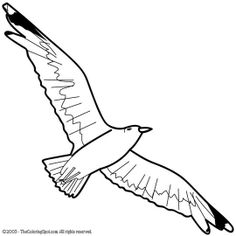 236x236 Coloring Images Of Sunsets Seagulls Coloring Pages Super