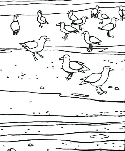 425x510 Seagull Coloring Page