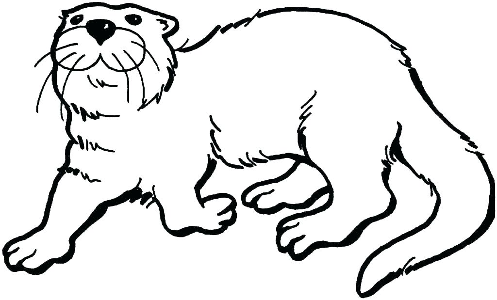 1024x619 Otter Coloring Page