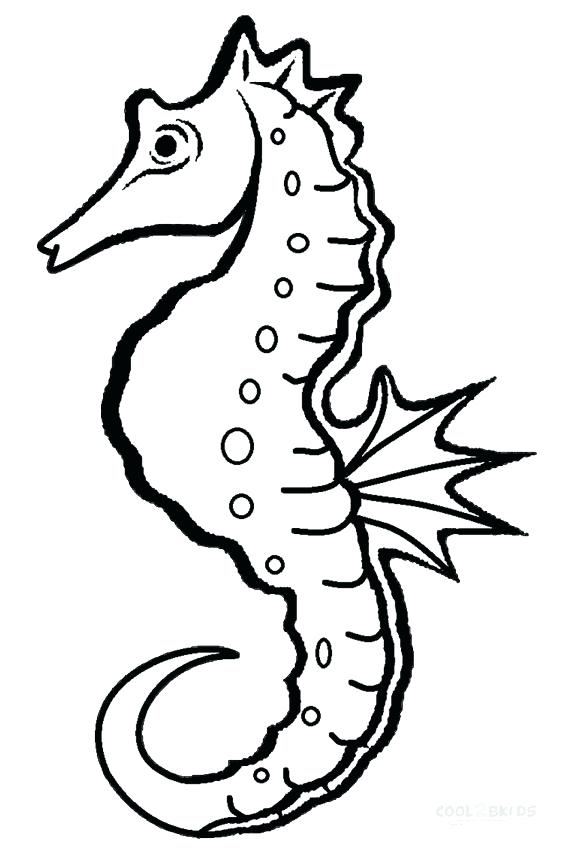 578x850 Seahorse Coloring Pages Impressive Seahorse Coloring Pages