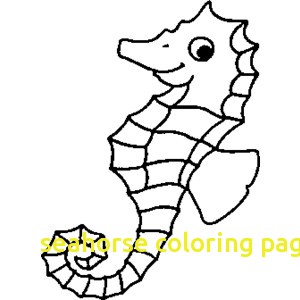 300x300 Seahorse Coloring Page With Seahorse Coloring Pages Polyvore