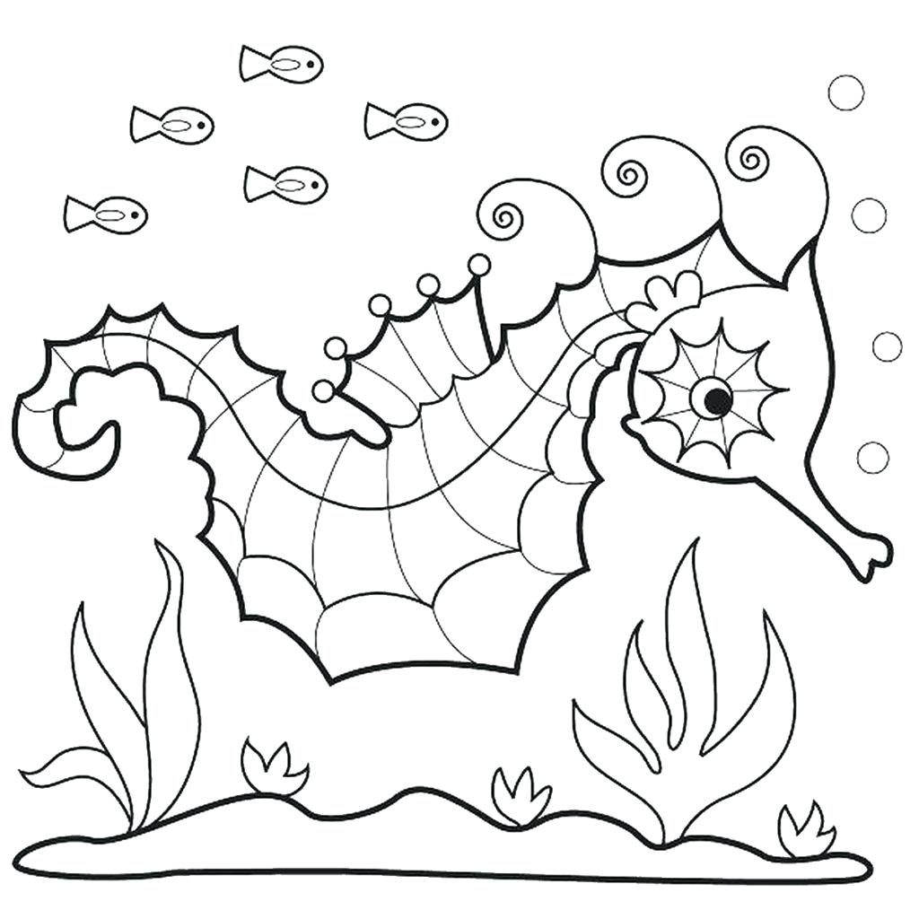 1024x1024 Coloring Pages Seahorse Coloring Pages Realistic Free Seahorses