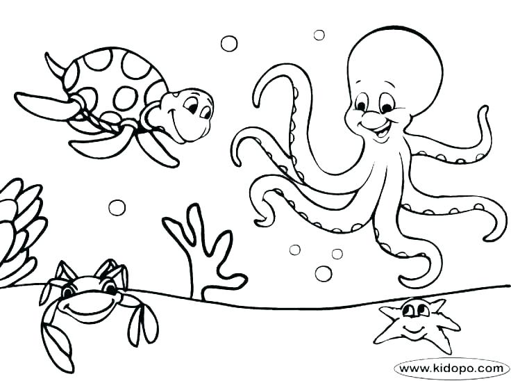 736x548 Seahorse Coloring Page Cartoon Seahorse Coloring Pages