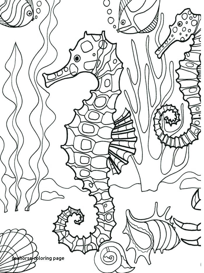 700x934 Seahorse Coloring Page For Kids Free Printable Picture This