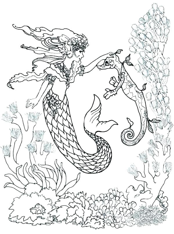 600x806 Seahorse Coloring Page Seahorse Coloring Page Free Printable Pages
