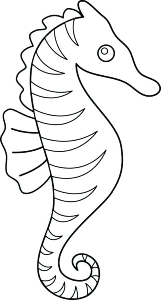 516x960 Seahorse Coloring Pages Seahorses Coloring Page Cute Seahorse