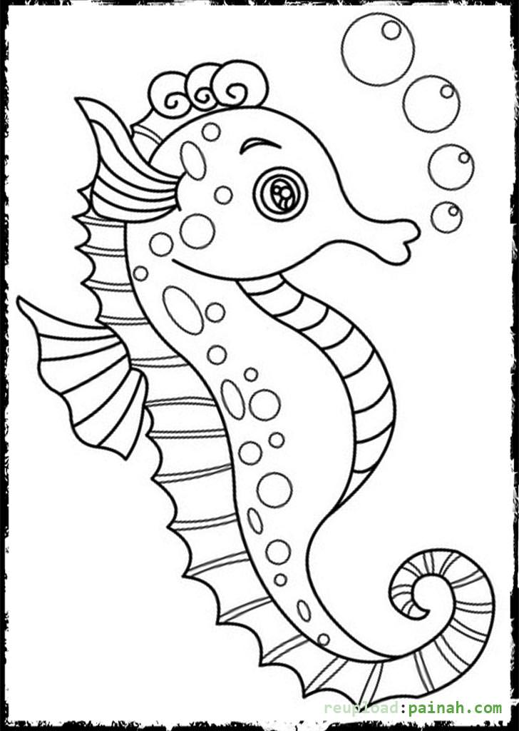 728x1024 Seahorse Coloring Pages To Download And Print For Free