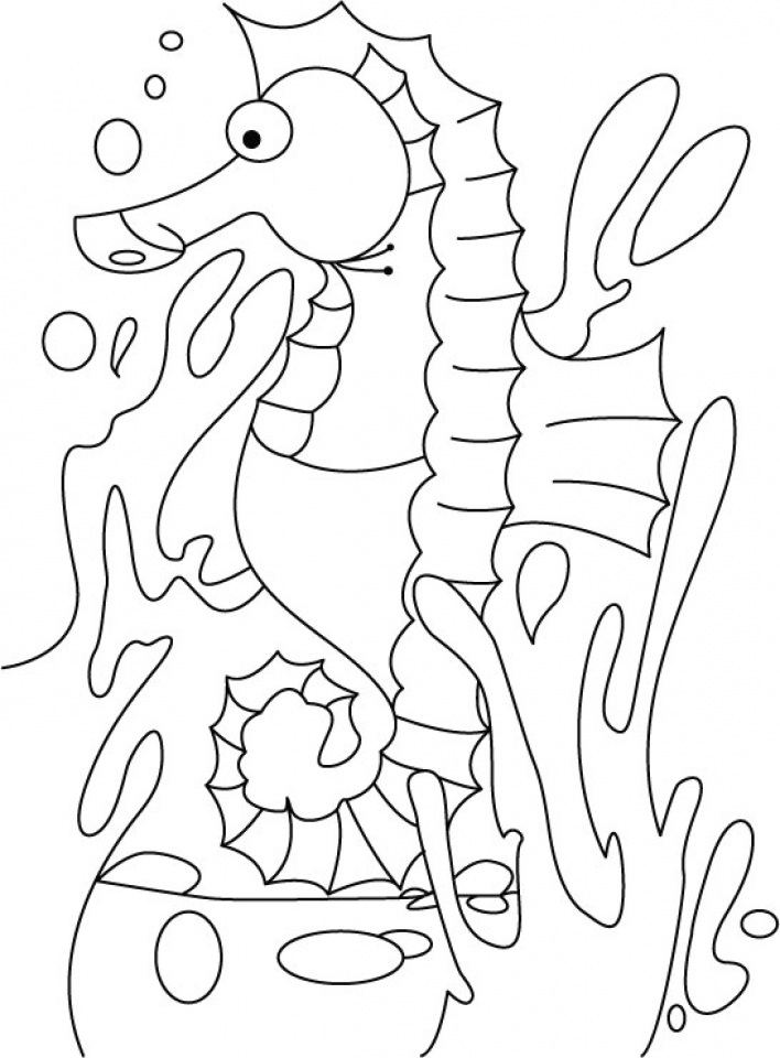 708x960 Get This Seahorse Coloring Pages Free Printable !
