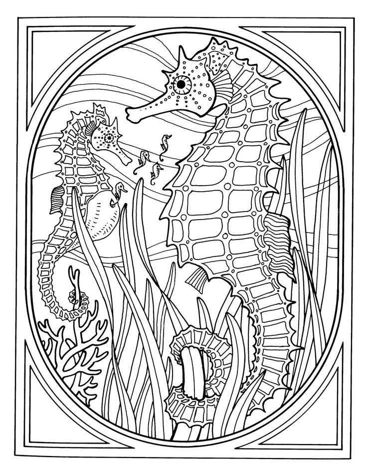 736x952 Sea Animals Coloring Pages For Kids