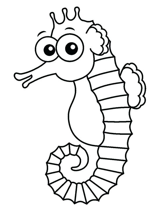 531x750 Sea Horse Coloring Pages S Seahorse Coloring Pages Printable