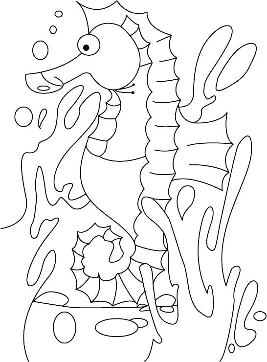 546x740 Seahorse Coloring Pages To Print Seahorse Coloring Page Seahorse