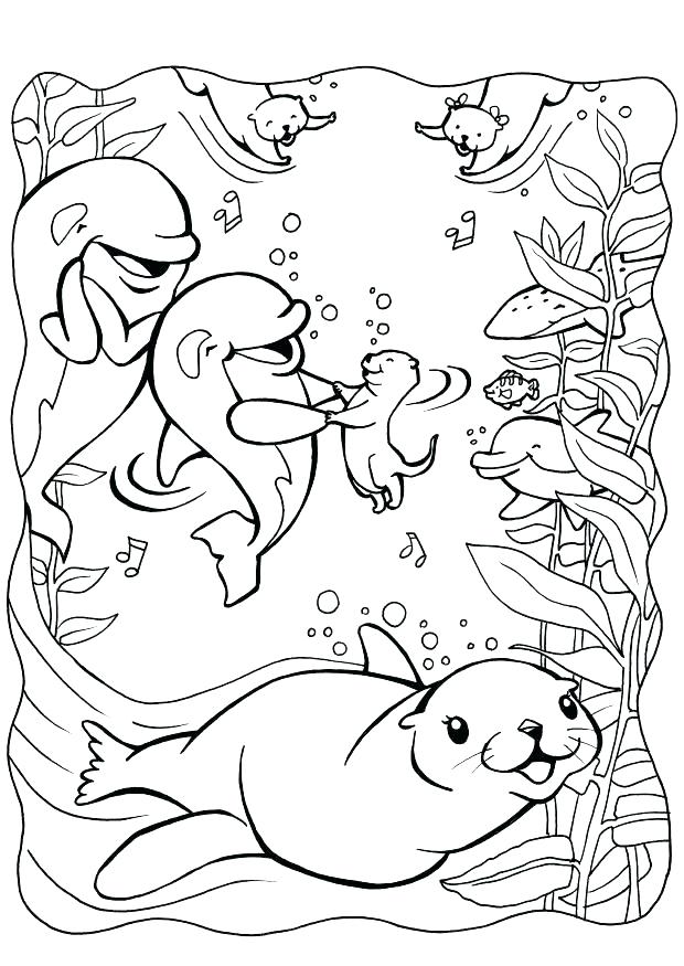 620x875 Seal Coloring Pages Seal Coloring Pages Seal Coloring Free