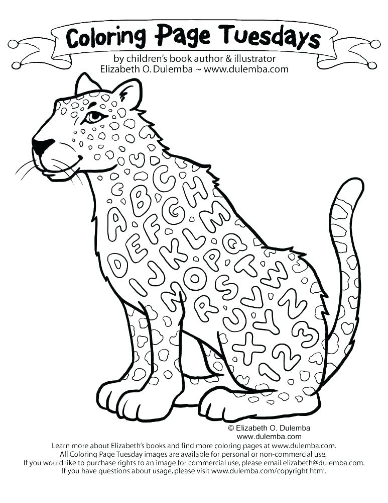 773x1000 Seals Coloring Pages Medium Size Of Seal Coloring Pages Best Cute