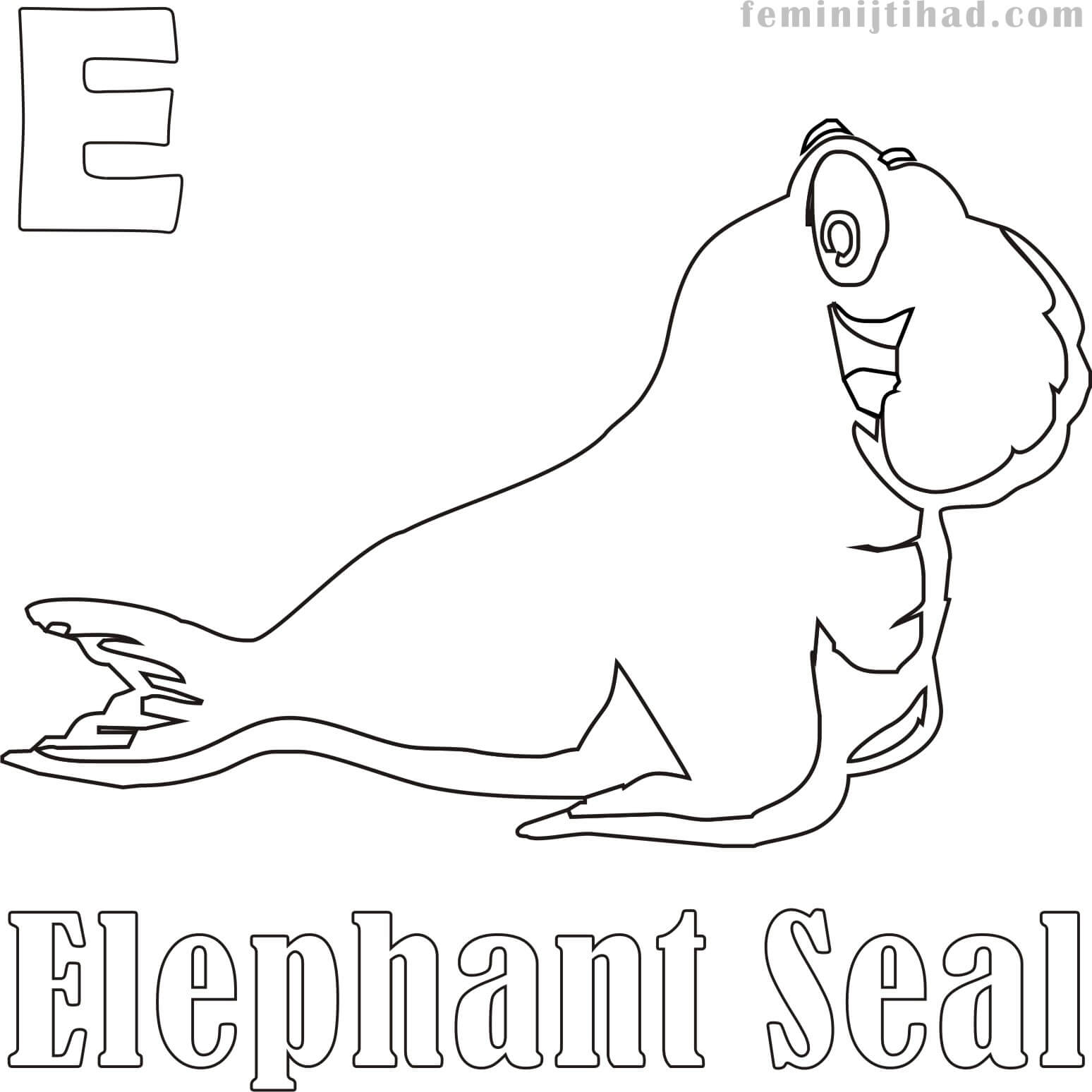 1548x1548 Elephant Seal Coloring Pages Coloring Pages For Kids
