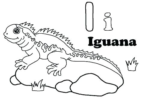 476x333 Gecko Coloring Pages Seascape Coloring Pages Marine Coloring Page