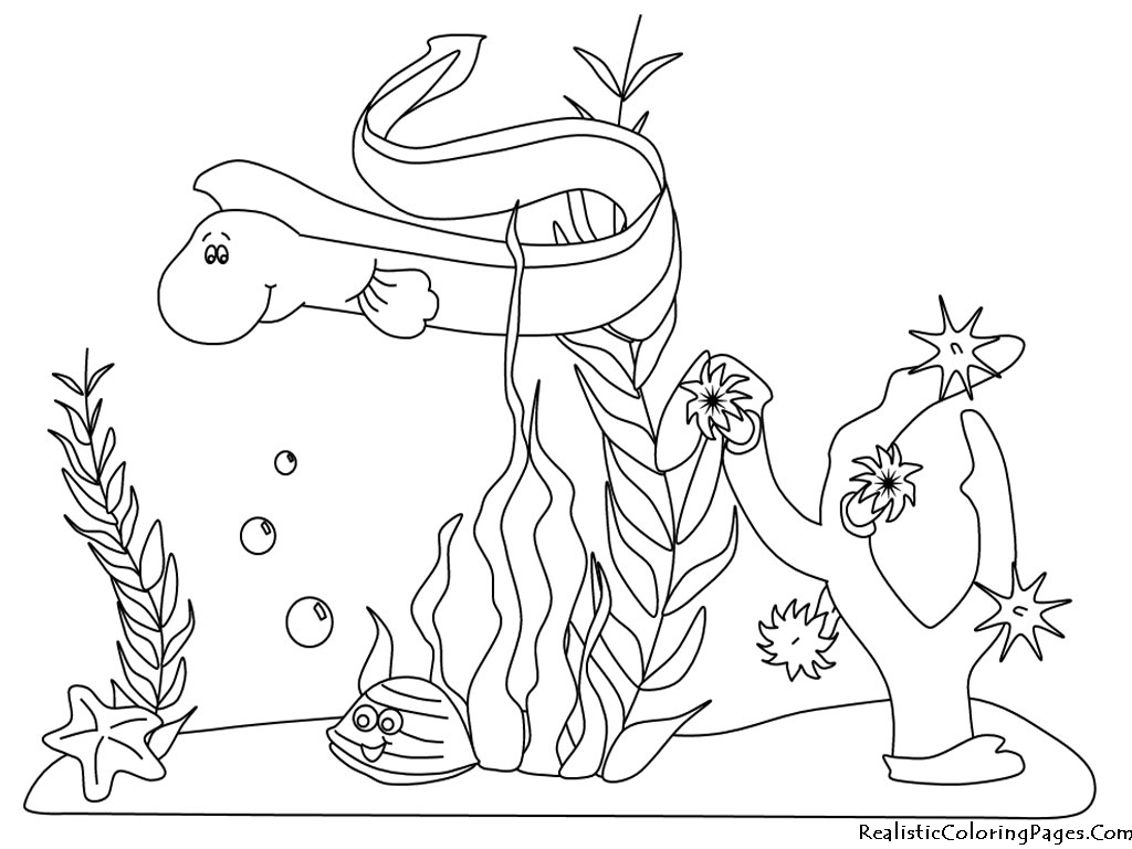 1024x768 Ocean Animals Underwater Coloring Page