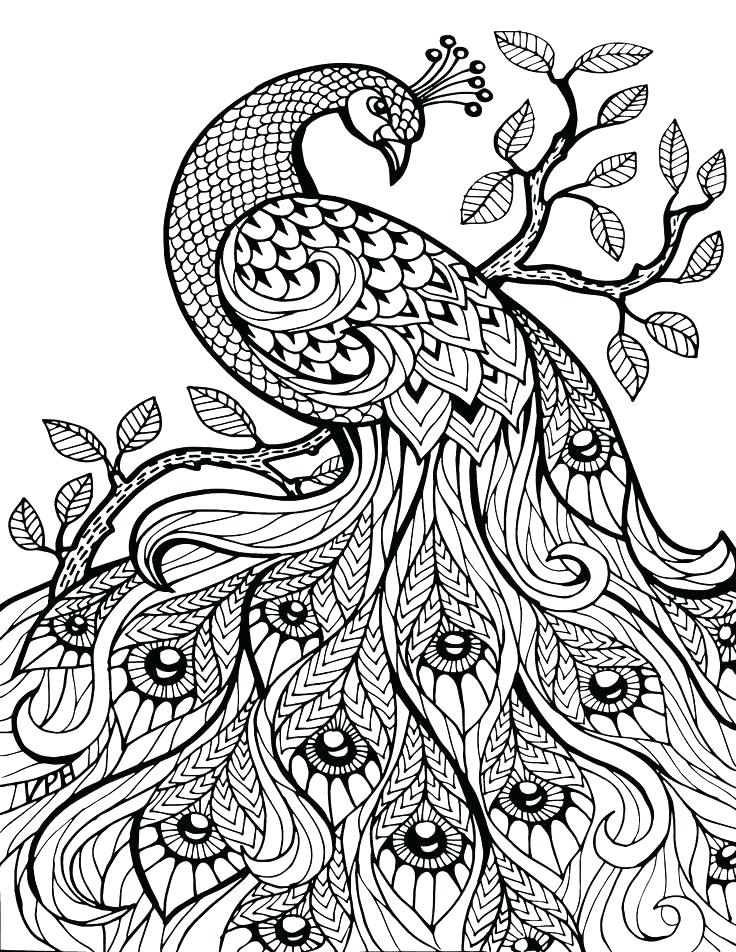 736x952 Ocean Habitat Pictures To Color Coloring Pages For Adults Seascape