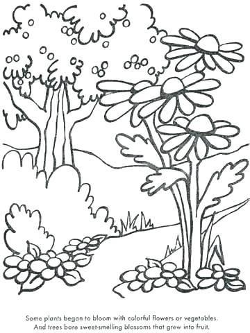 360x480 Plants Coloring Pages Grass Coloring Pages For Kids Color Plant