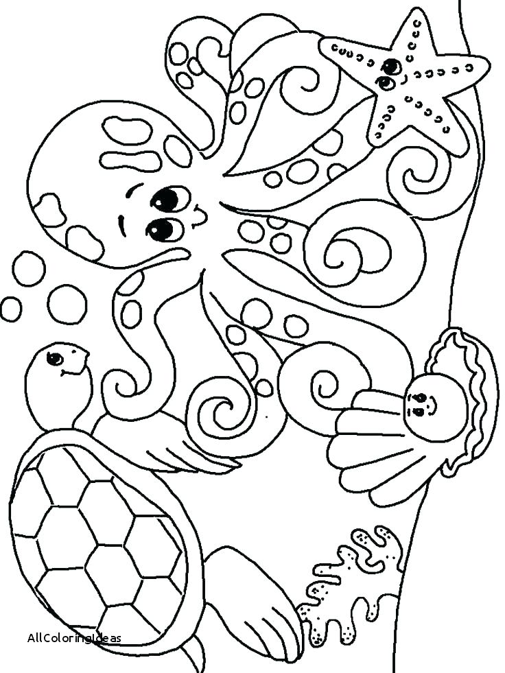 736x981 Seascape Coloring Pages Coral Coloring Pages Unique Ocean Animals