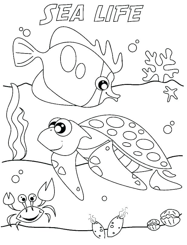 618x811 Seascape Coloring Pages Ocean Animal Coloring Pages Printable