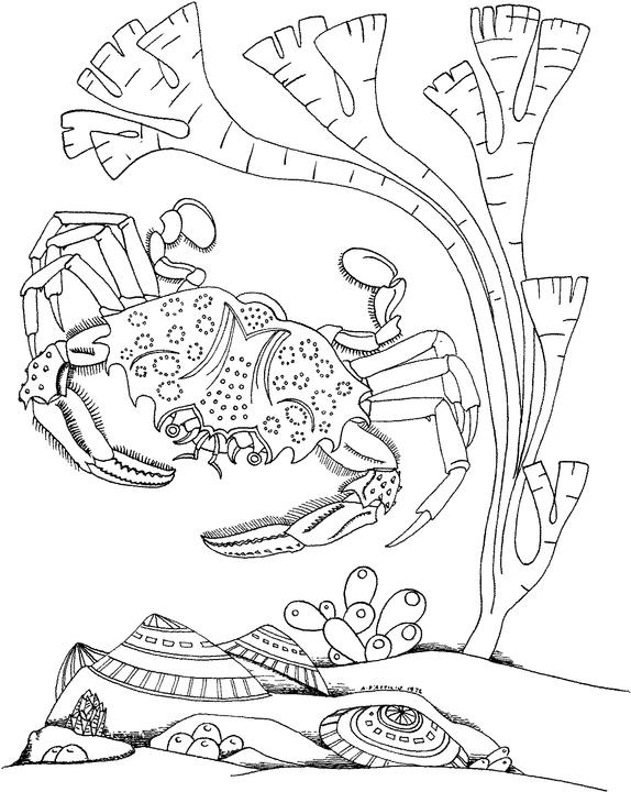 574x720 Seascape Coloring Pages Free Seascape Coloring Pages Ideas