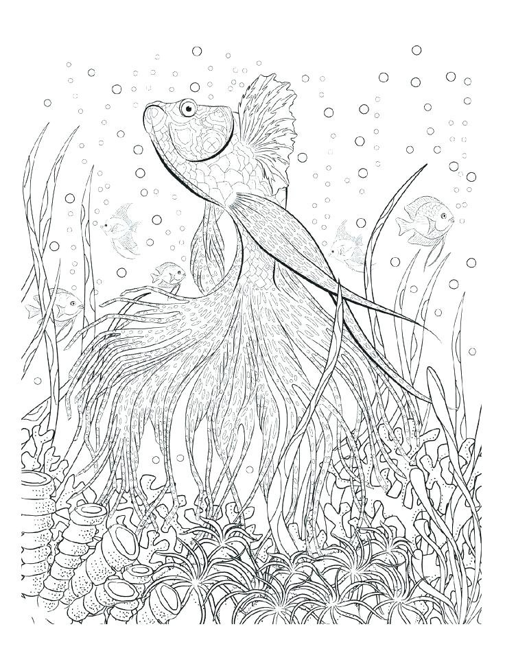 736x952 Seascape Coloring Pages Jgheraghty Site