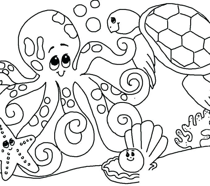 678x600 Printable Seashell Coloring Pages For Kids Seashell Coloring Pages