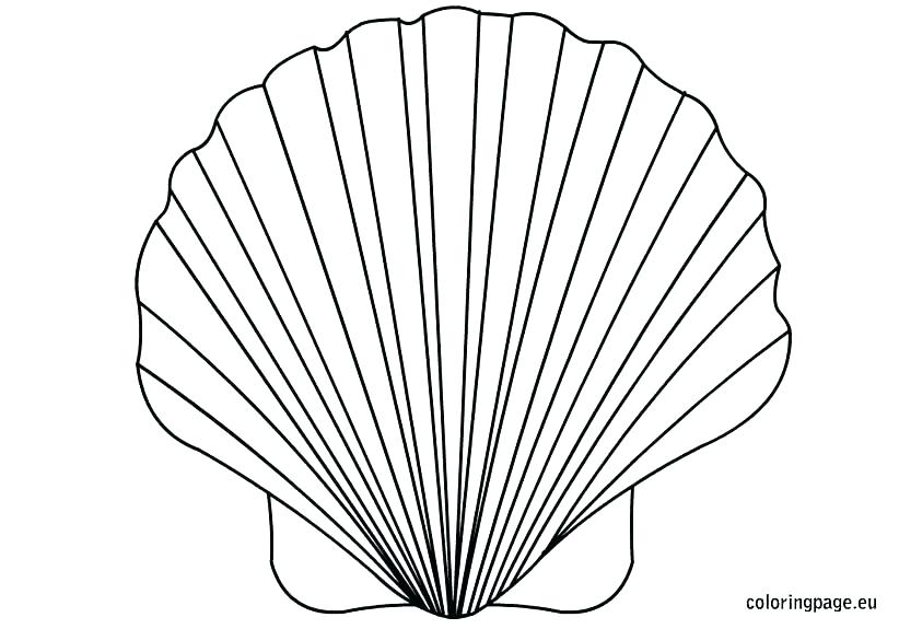 822x575 Seashell Coloring Pages For Adults Printable Coloring Clam