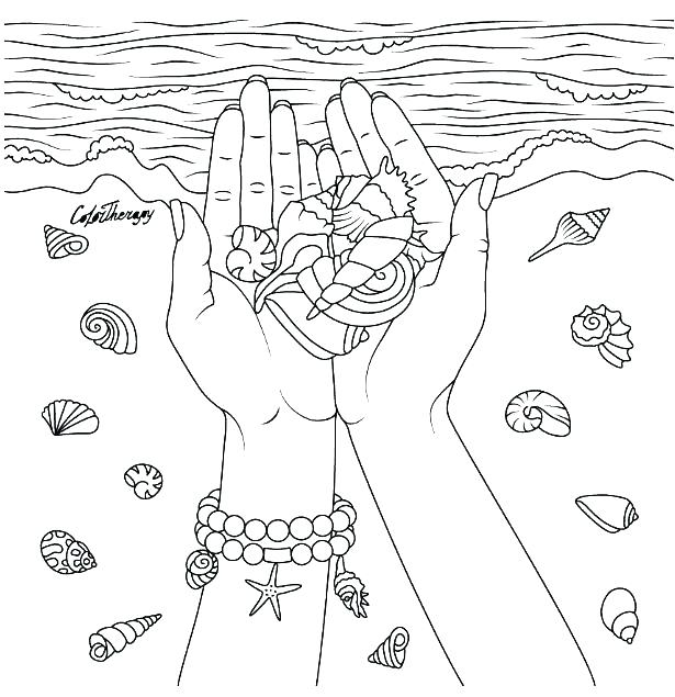 615x635 Seashell Coloring Pages Sea Shells Coloring Pages Sea Shells