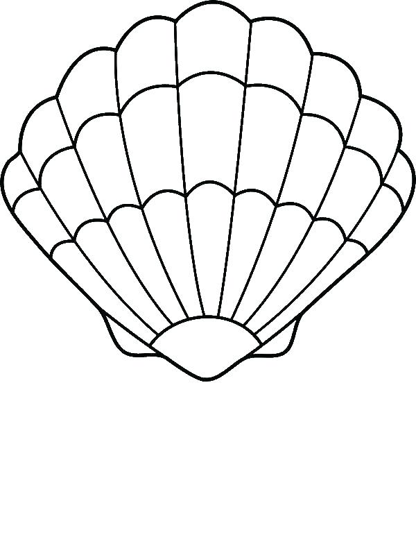 600x800 Seashells Coloring Page With Seashells Coloring Page Seashell
