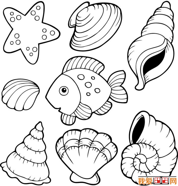 708x741 Seashells Coloring Pages Appealing Seashell Coloring Page