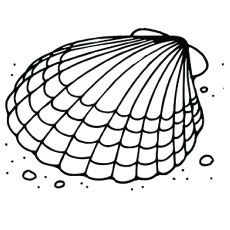 230x230 The Clam Shell On The Beach Seashell Coloring Pages