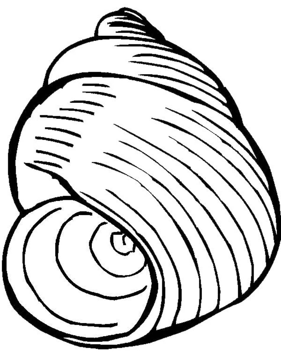 950x1197 Seashell Coloring Pages Elegant Printable Seashell Coloring Pages