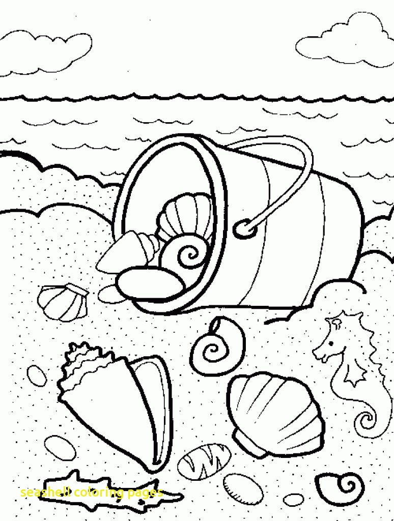 774x1024 Seashell Coloring Pages With Top Free Printable Shell