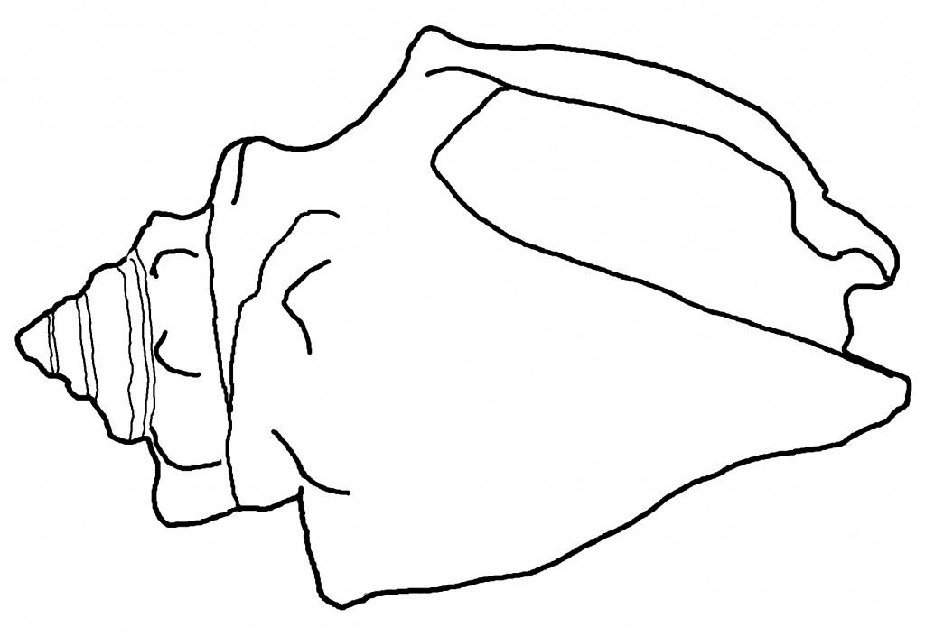 1024x705 Free Printable Seashell Coloring Pages For Kids Printable