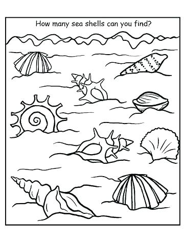 360x480 Sea Shells Coloring Pages Summer Coloring Pages Printable