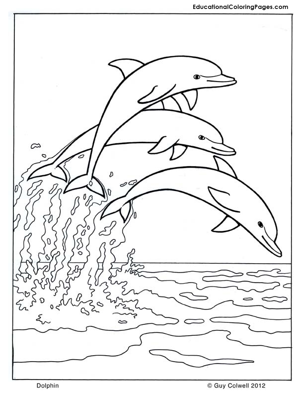 612x792 Seashore Coloring Pages Platypus Coloring Animal Coloring Pages