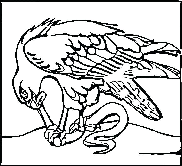 750x683 Seattle Seahawks Coloring Pages Coloring Pages Coloring Pages Pin