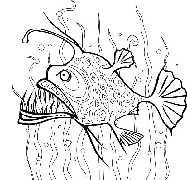 600x580 Seaweed Coloring Pages Angler Fish Between Seaweed Coloring Pages