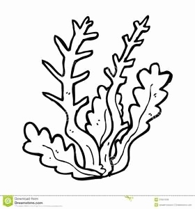 280x300 Seaweed Coloring Pages Photos Seaweed Coloring Page