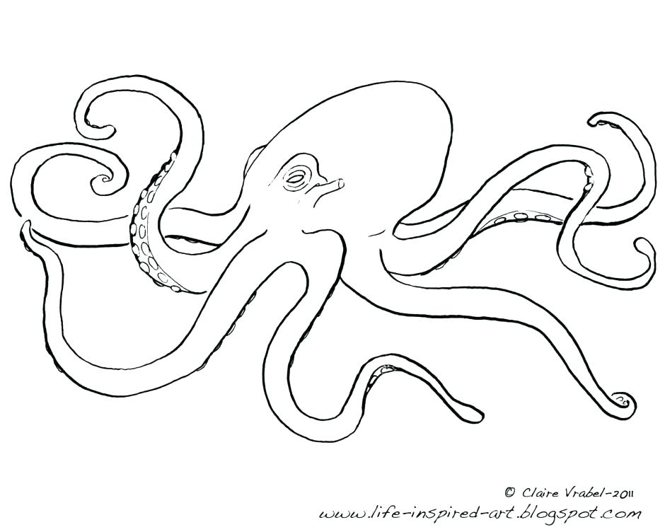 940x752 Seaweed Coloring Pages Seaweed Coloring Pages Images Of Coral