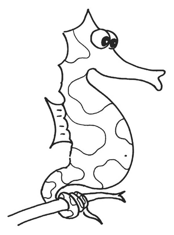 600x810 Seaweed Coloring Pages