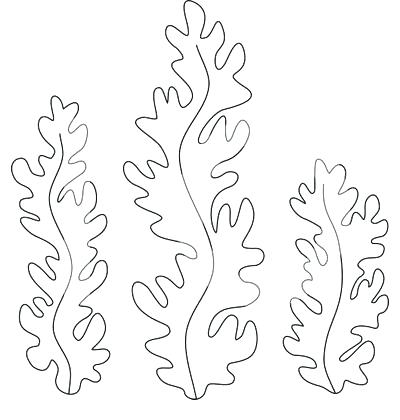 400x420 Coloring Pages Of Seaweed Seaweed Coloring Pages Printable Ocean