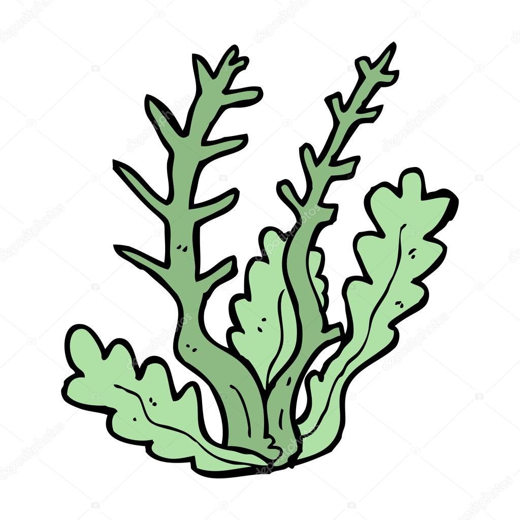 1024x1024 Sea Plants Coloring Pages Fresh Fine Seaweed