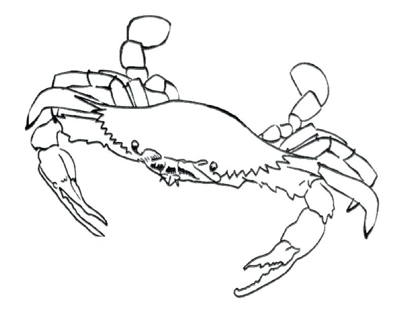 792x612 Sebastian Coloring Pages Smiling Crab Coloring Page Free Printable