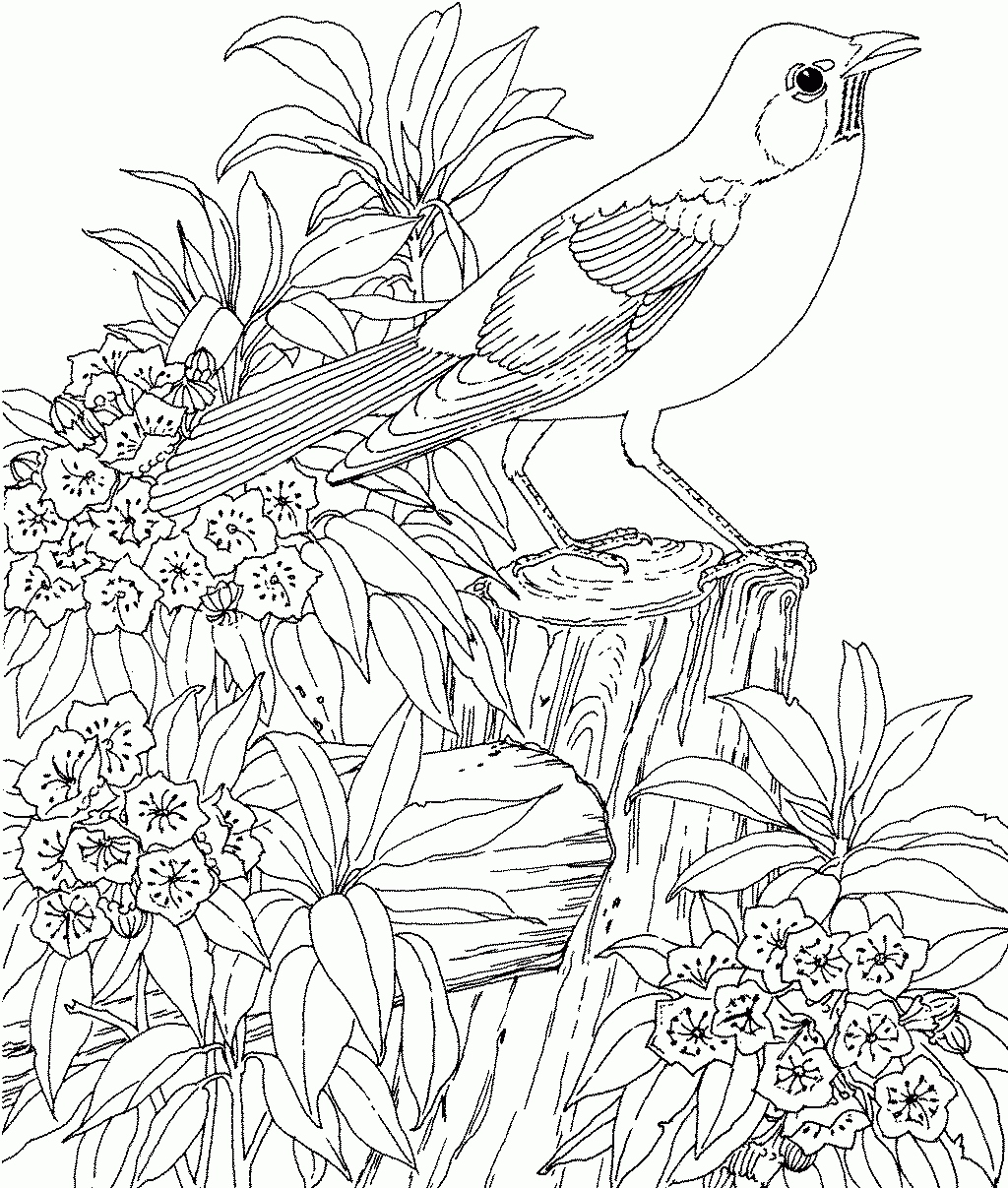 1024x1207 Garden Coloring Pages New Free Secret Garden Coloring Pages Logo